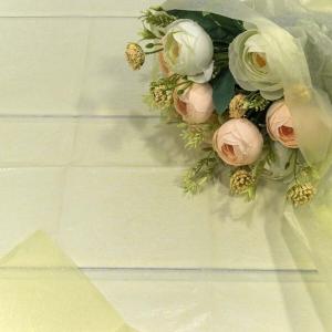 Бумага упаковочная тишью 50*66 см Бежевый 10 листов 441701