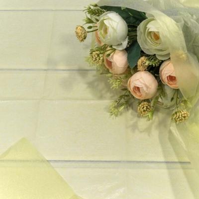 Бумага упаковочная тишью 50*66 см Бежевый 10 листов 441701