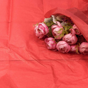 Бумага упаковочная тишью 50*66 см Красный 10 листов 441219