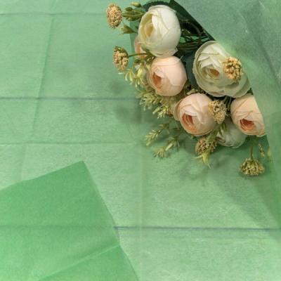 Бумага упаковочная тишью 50*66 см Светло-зеленый 10 листов 445076