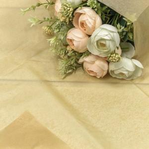 Бумага упаковочная тишью 50*66 см Темно-бежевый 10 листов 441318