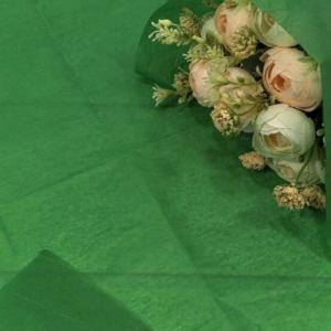 Бумага упаковочная тишью 50*66 см Зеленый 10 листов 441238