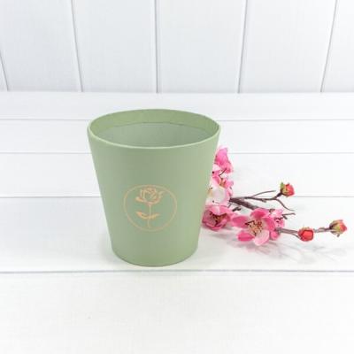 Коробка для цветов конус с тиснением 10.7*10.6 см Бледно-зеленый 4405822