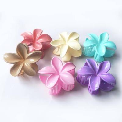 Краб для волос пластиковый 