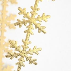 Лента фигурная 2.5 см*20 ярд 