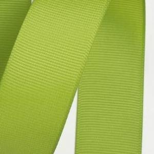 Лента репсовая 2.5 см 20 ярд 1 сорт Фисташковый 171555