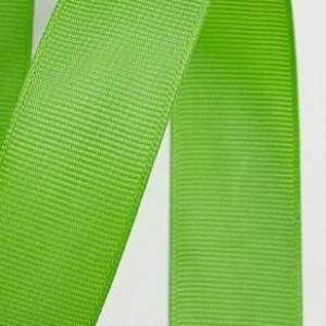 Лента репсовая 2.5 см 20 ярд Зеленый 171876