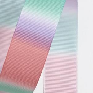 Лента репсовая 2.5 см Радуга 171713