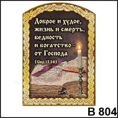 Магнит Доброе и худое В804