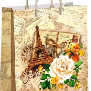 Пакет из мягкого пластика 150 мкм 24х26 см Шанталь