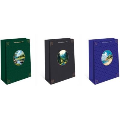 Пакет ламинированный подарочный бумажный 18х23х10 см 50059