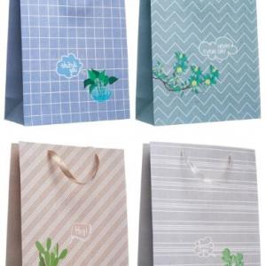 Пакет ламинированный подарочный бумажный 31х42х12 см Зелень в горшочке (микс) 50069