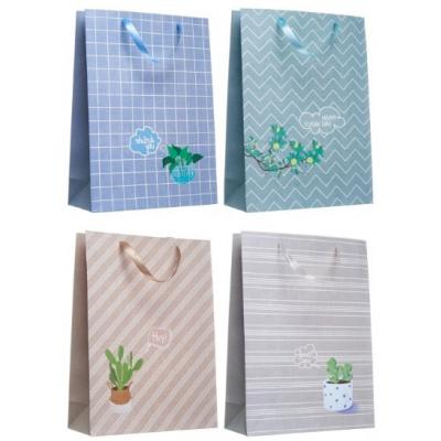 Пакет ламинированный подарочный бумажный 31х42х12 см Зелень в горшочке (микс) 50069