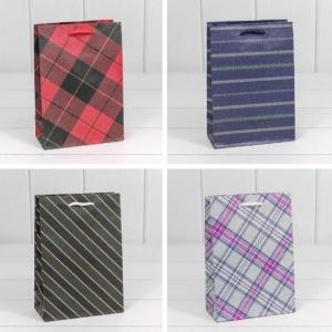 Пакет ламинированный подарочный бумажный 32х45х11 см Клетка 44657