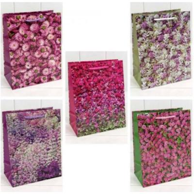 Пакет подарочный ламинированный бумажный 20х30х10 см Цветы ассорти 44046