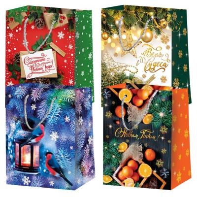 Пакет подарочный новогодний бумажный 18х23х10 см Новый год (микс) 60012