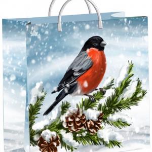 Пакет подарочный новогодний из мягкого пластика с пластиковой ручкой 30х30 см 140 мкм Снегирек
