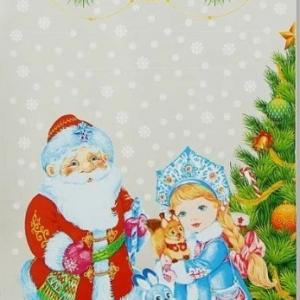 Пакет подарочный новогодний металлизированный 25х40 см Чудо 100 шт 905635