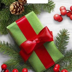 Пакет подарочный новогодний полиэтиленовый с прорубной ручкой 31х40 см 60 мкм Калина в подарок 50 шт