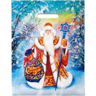 Пакет подарочный новогодний полиэтиленовый с прорубной ручкой 31х40 см 60 мкм Великий устюг
