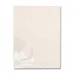 Пакет полипропиленовый прозрачный 15*20 см без рисунка 100 шт/уп