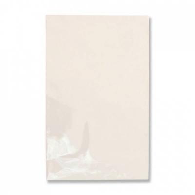 Пакет полипропиленовый прозрачный 25*40 см без рисунка 100 шт/уп