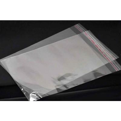 Пакет полипропиленовый прозрачный с клеевым клапаном 12*23+3 см 25 мкм 100 шт/уп