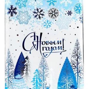 Пакет полипропиленовый с клеевым клапаном 25*32+5 