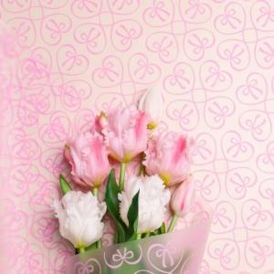 Пленка флористическая матовая в рулоне 60 см*10 м Бантики розовый 621891