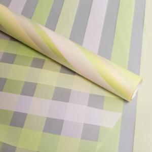 Пленка флористическая матовая в рулоне 60 см*10 м Премиум Радуга фисташковый 622524