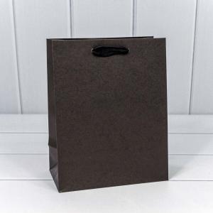 Подарочный крафт пакет 18х23х10 см Черный 444168