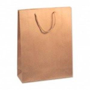 Подарочный крафт пакет 19х24х8 см Однотонный 53672