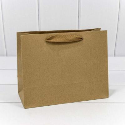 Подарочный крафт пакет 23х18х10 см 441254