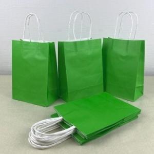 Подарочный крафт пакет с бумажной ручкой 21х27х11 см Салатовый 530570