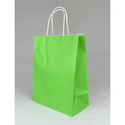 Подарочный крафт пакет с бумажной ручкой 21х27х11 см Зеленый 535907