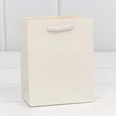 Подарочный пакет люкс бумажный 12х15х7 см Фактура белый 441707