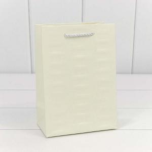 Подарочный пакет люкс бумажный 14х20х8 см Престиж белый 441743