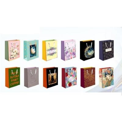 Подарочный пакет люкс бумажный 18х23х10 см 539758