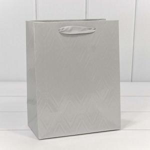 Подарочный пакет люкс бумажный 18х23х10 см Элегант серебро 442074