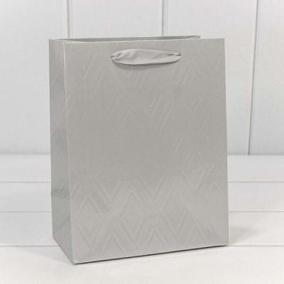 Подарочный пакет люкс бумажный 18х23х10 см Элегант серебро 442074