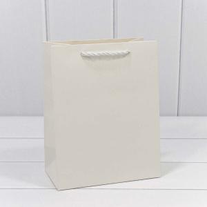 Подарочный пакет люкс бумажный 18х23х10 см Фактура белый 441224