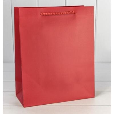 Подарочный пакет люкс бумажный 18х23х10 см Фактура красный 449191