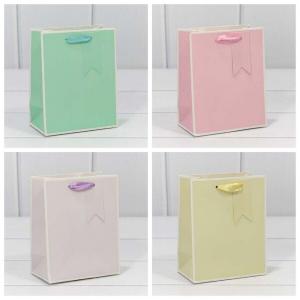 Подарочный пакет люкс бумажный 18х23х10 см Однотонный в рамке 442055