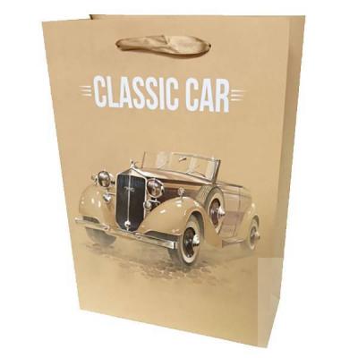 Подарочный пакет люкс бумажный 21х30х8 см Автомобиль 550494