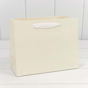 Подарочный пакет люкс бумажный 23х18х10 см Элегант белый 441712