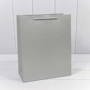 Подарочный пакет люкс бумажный 26х32х13 см Фактура серебро 441234