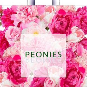 Полиэтиленовый пакет ПВД с петлевой ручкой 37 мкм 38х42 см Изобилие пионов 50 шт