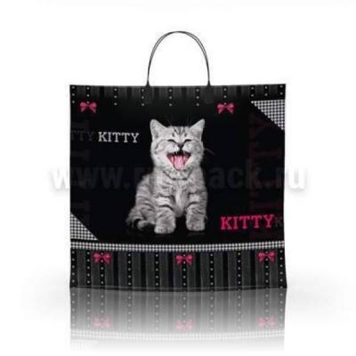 Полиэтиленовый пакет ПВД с пластиковой ручкой 80 мкм 36х34 см Китти 10 шт