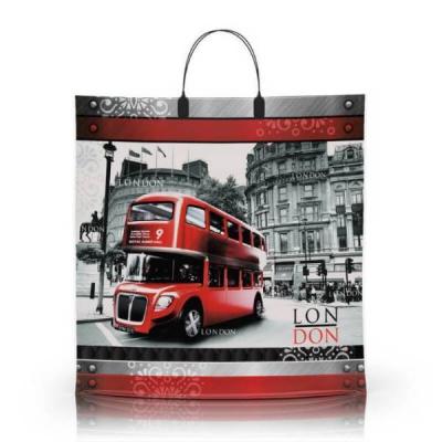 Полиэтиленовый пакет ПВД с пластиковой ручкой 80 мкм 40х40 см Лондон 10 шт