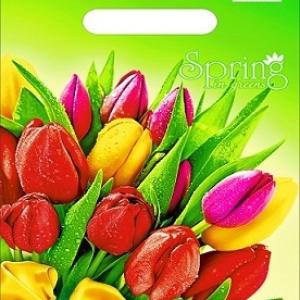 Полиэтиленовый пакет ПВД с прорубной ручкой 30 мкм 20х30 см Весна 100 шт